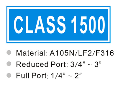 CLASS 1500
