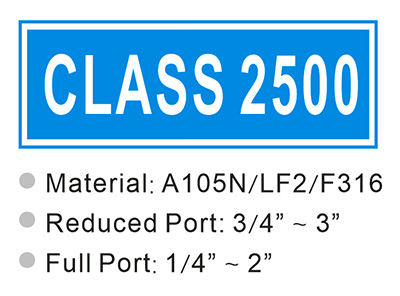 CLASS 2500