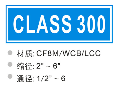 CLASS 300