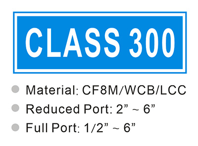 CLASS 300