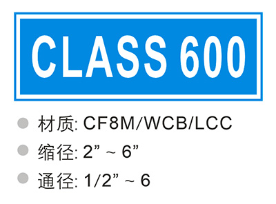 CLASS 600
